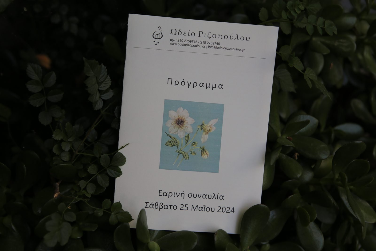 Εαρινή συναυλία 2024 - 9